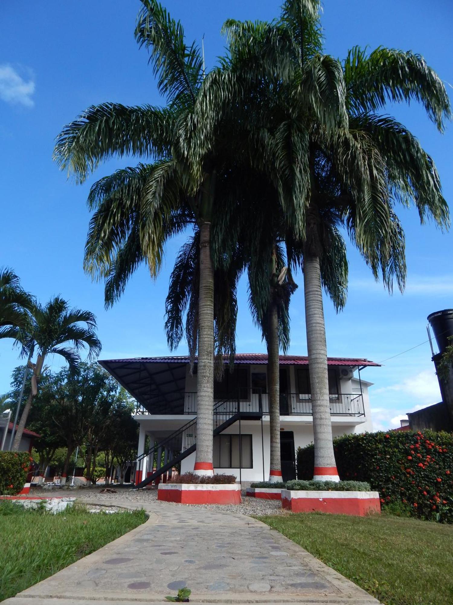 Hotel Campestre Las Palmas Sas 비야비센시오 외부 사진